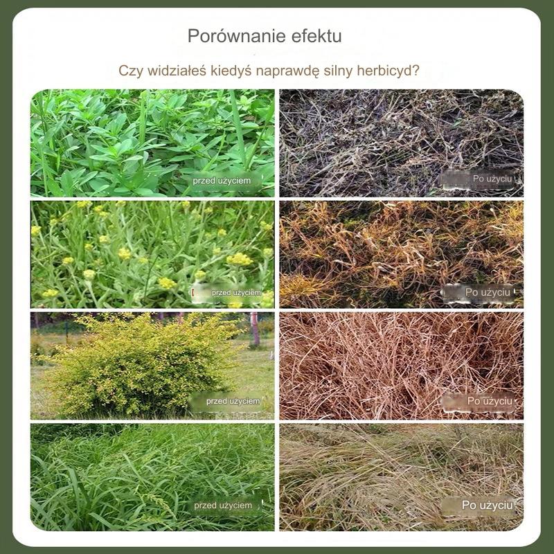【Kup 1 i otrzymaj 2 gratis】 Wysoce skoncentrowany herbicyd glufosynat amonowy