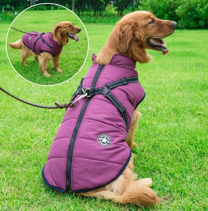 🔥🐕🦺【50% zniżki】Ubrania narciarskie na jesień i zimę dla zwierząt, wodoodporna i ciepła bawełniana kurtka dla psów