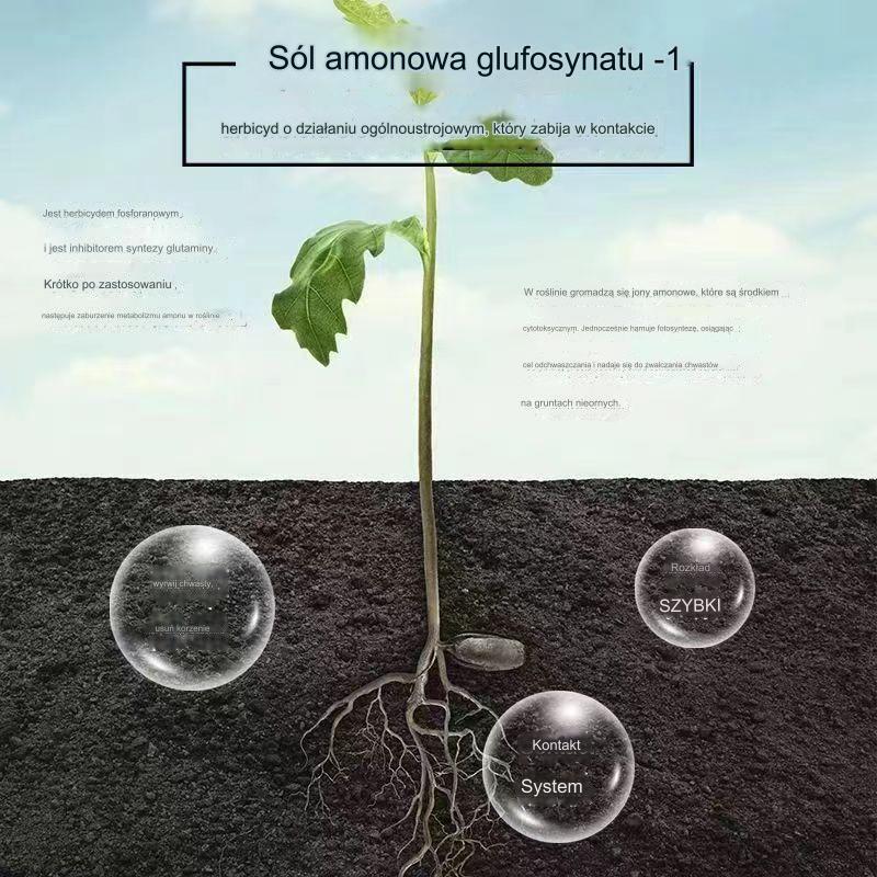 【Kup 1 i otrzymaj 2 gratis】 Wysoce skoncentrowany herbicyd glufosynat amonowy