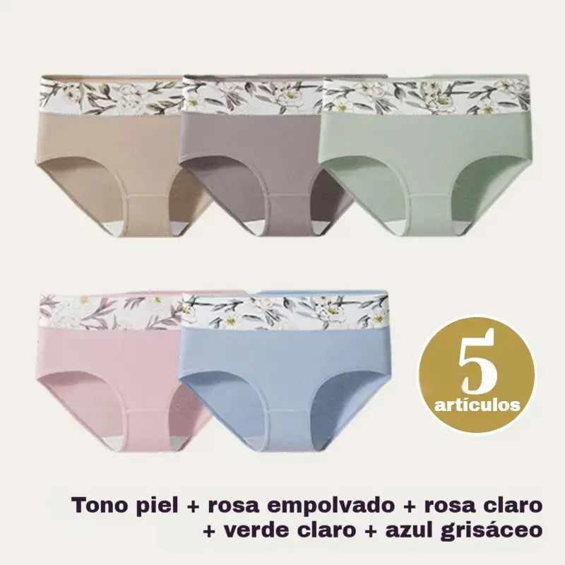 đ©ČăConjunto de 5 piezasăBraguitas de encaje de talle alto, antibacterianas y protectoras â
ïžPago contra entrega