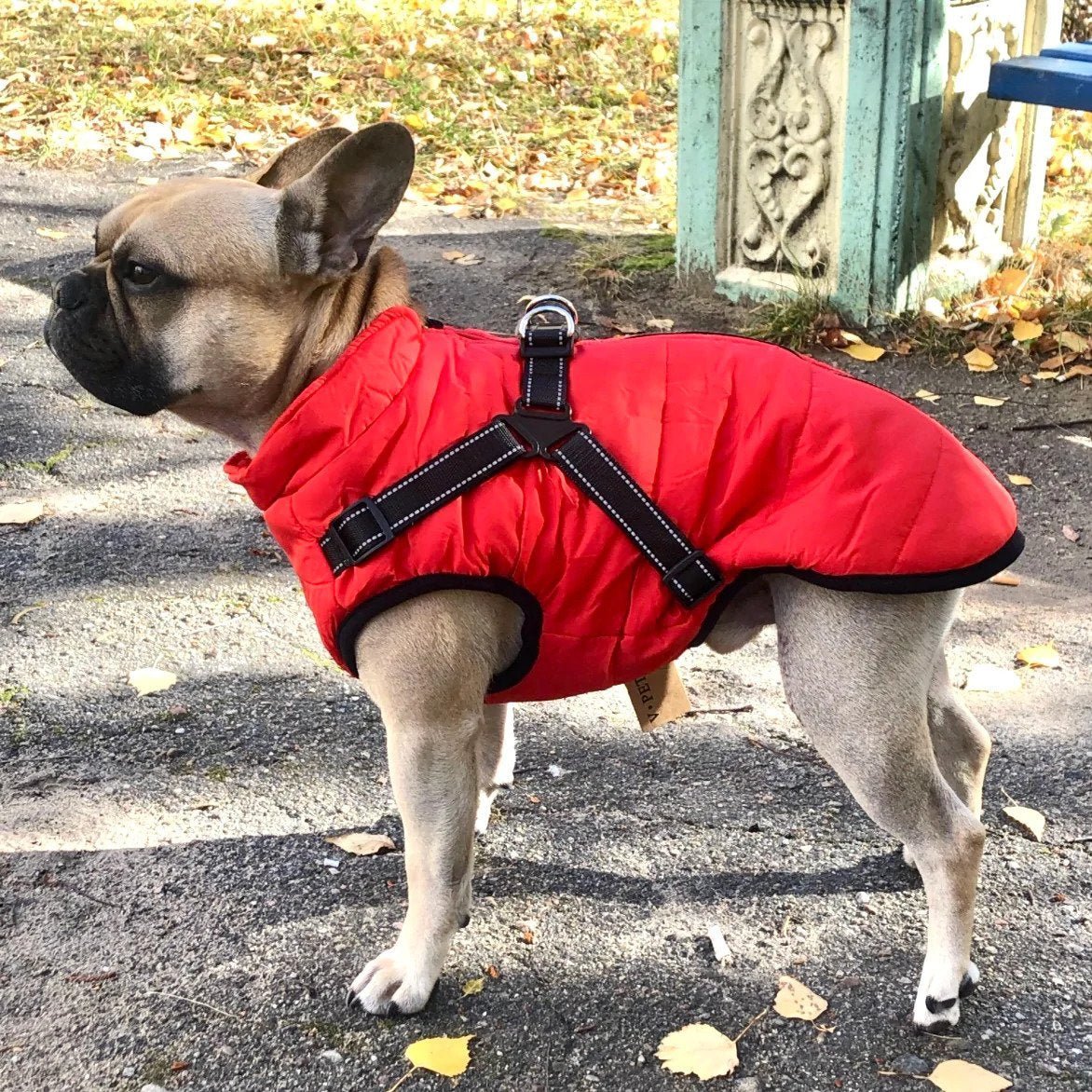 🔥🐕🦺【50% zniżki】Ubrania narciarskie na jesień i zimę dla zwierząt, wodoodporna i ciepła bawełniana kurtka dla psów