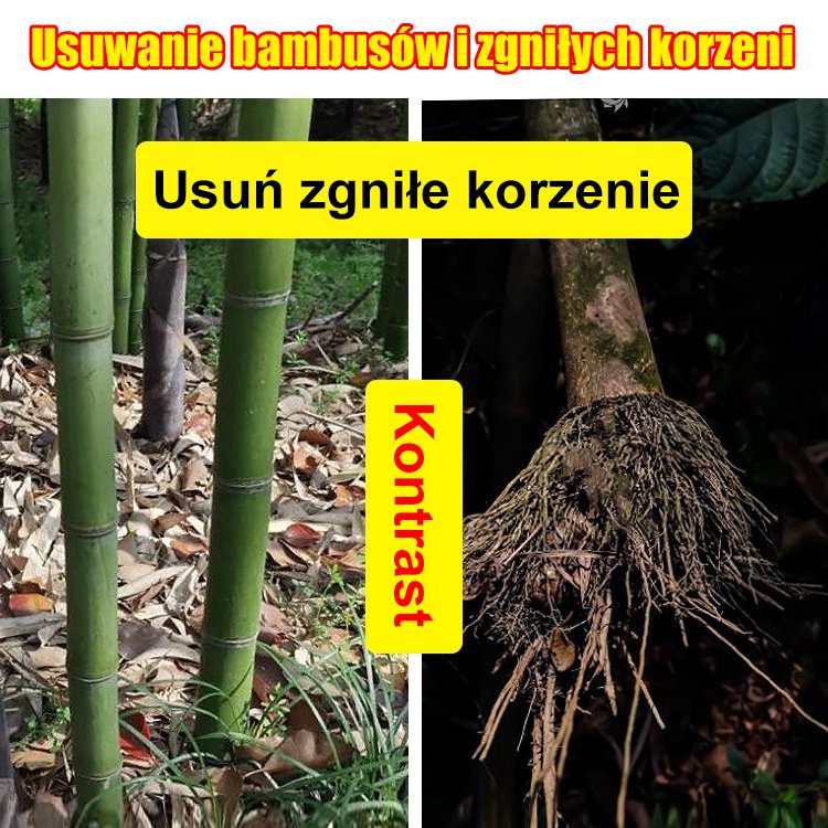 🔥【Kup 1, a 1 dostaniesz gratis】👍🌱Herbicyd cyklozynonowy