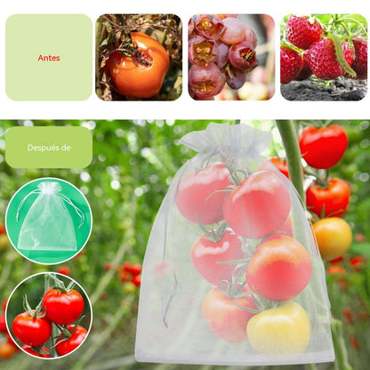 🔥【50 piezas（24*38cm）】Red de insectos para moscas de frutas, red de protección de árboles de paisaje para pájaros, bolsas de red de jardín para proteger flores, plantas, frutas, verduras