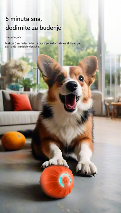 🐶⚽【Plaćanje pouzećem】😆 Kupite 1, dobijte 1 gratis🔥 Pametna edukativna igračka za pse, automatska lopta za šetanje pasa, zabavna interaktivna igračka za pse