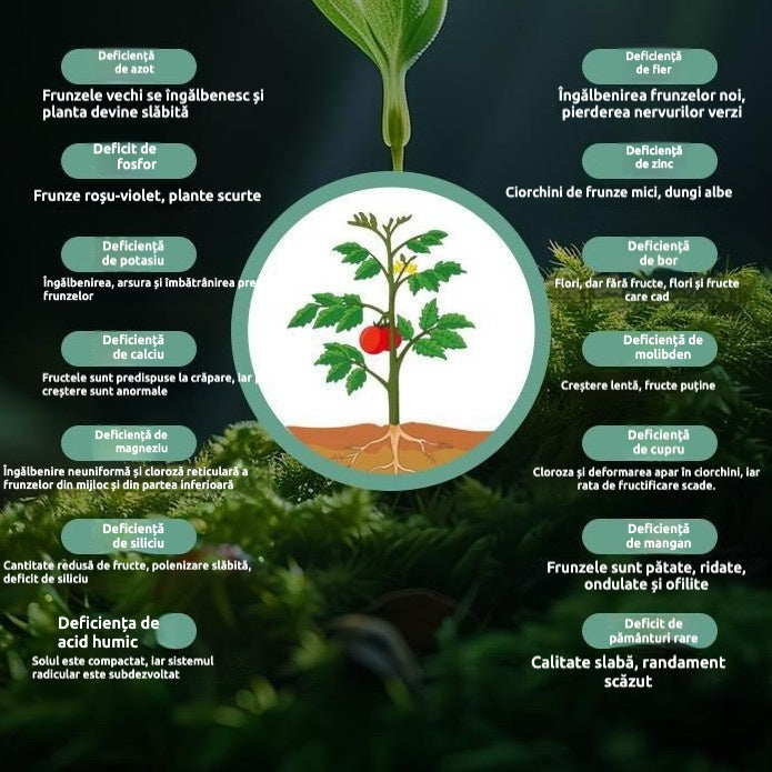[10 opakowań] 💧Rozpuszczalny w wodzie nawóz o kontrolowanym uwalnianiu🌱Składnik odżywczy dla roślin korzeniowych i bulwiastych, który zwiększa owoce i wzmacnia sadzonki, można stosować w uprawach takich jak ziemniaki🥔, cebula🧄, orzeszki ziemne🥜
