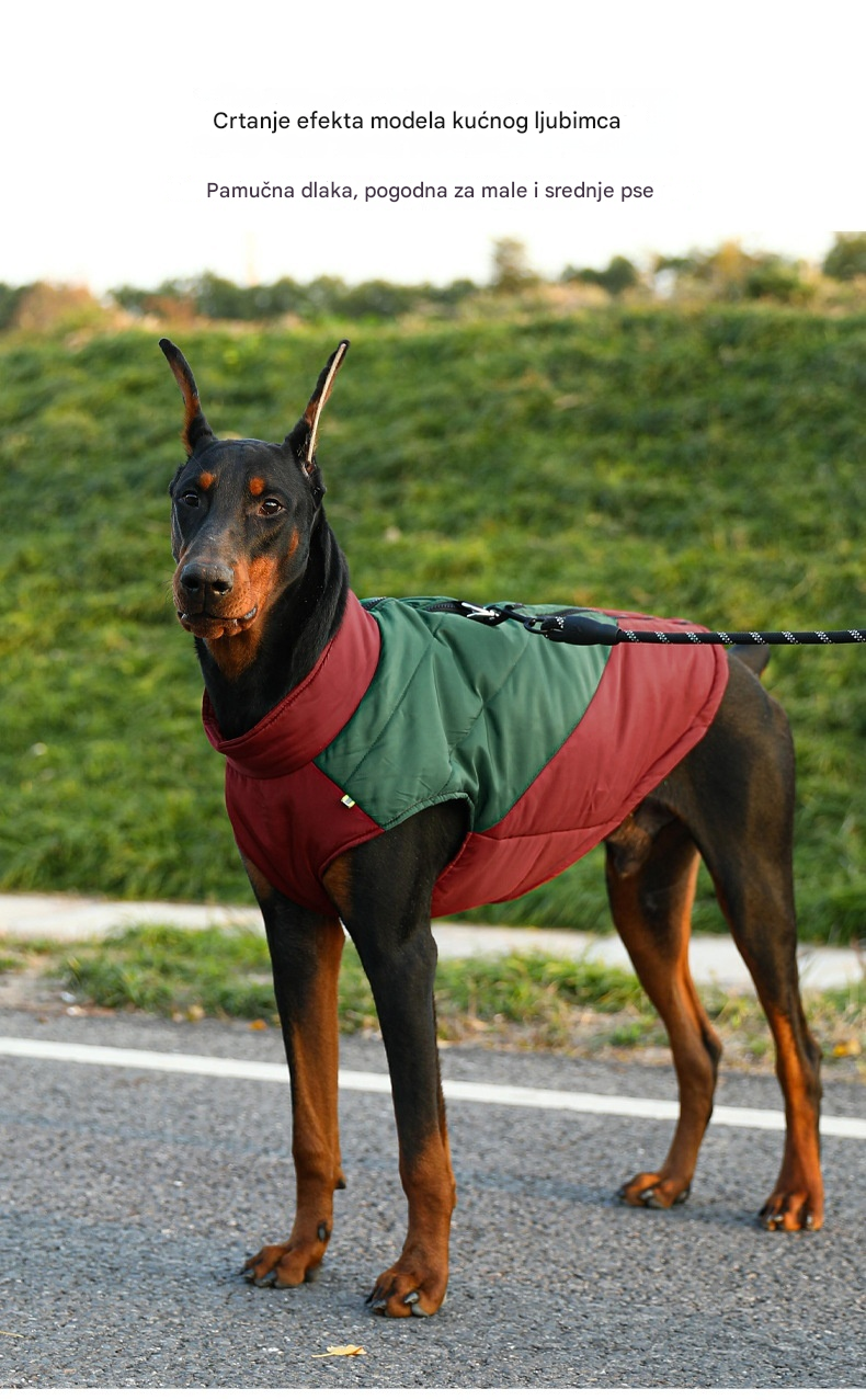 🐕‍🦺🔥【Plaćanje pouzećem】🔥【Kupite jedan, dobijte jedan gratis】【1,5-30 kg】Nova topla pamučna odjeća za pse za jesen/zimu, idealna za aktivnosti na otvorenom