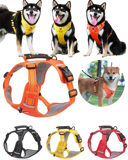 🐶💛 [5-30 kg] Nowe szelki dla psa ze smyczą💛 Wygodna przyczepność, mocna i bezpieczna, zapobiega nagłej ucieczce psa i uwolnieniu się ze smyczy🐶 Odpowiednie dla małych i średnich psów