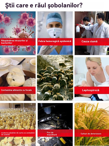 【💥10 buc】Capcană puternică pentru șoareci, placă adezivă pentru șoareci【120c*28cm】