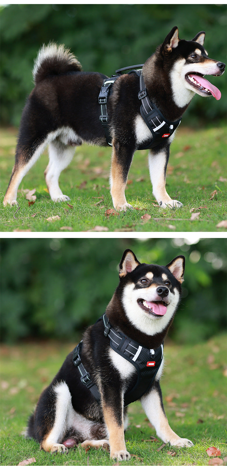 🐶💛 [5-30 kg] Nowe szelki dla psa ze smyczą💛 Wygodna przyczepność, mocna i bezpieczna, zapobiega nagłej ucieczce psa i uwolnieniu się ze smyczy🐶 Odpowiednie dla małych i średnich psów