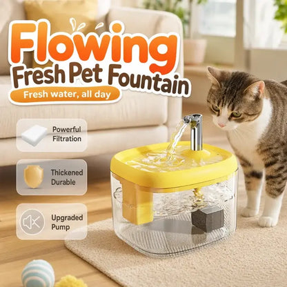 🐾 Dispensador de agua para mascotas ilent con cuenco de PET apto para alimentos 🐾 Agua fresca, fluida y perfecta para bebedores exigentes ✨