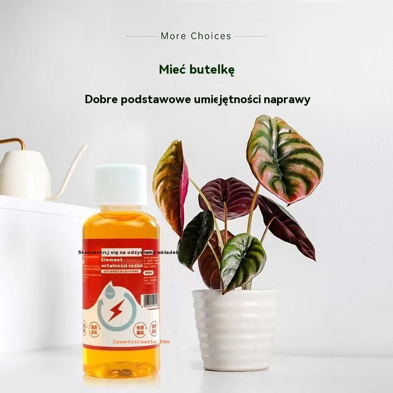 🌱🌱【3 butelki】Stymulant wzrostu roślin🌱🌱Uniwersalny nawóz odpowiedni do wszystkich rodzajów roślin, takich jak kwiaty, sukulenty, zielone rośliny doniczkowe na balkonach.