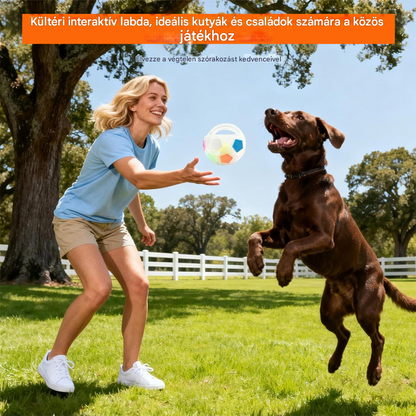 ⚽🐕🐾Igračka za pse - nogometna lopta, interaktivni i pribor otporan na ugrize za border kolije, labradore i corgi pse.