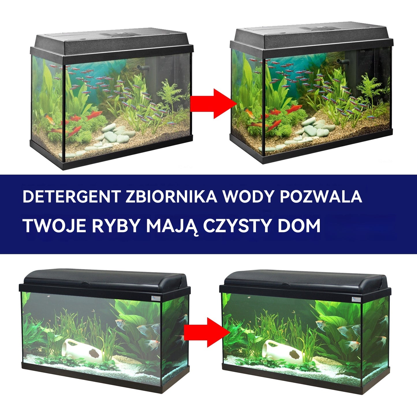 【🔥Kup jeden, a drugi dostaniesz gratis🔥】🌿Nowy środek do usuwania glonów i mchu, usuwa zieloną wodę i glony, można go stosować do czyszczenia akwariów, zbiorników na ryby i basenów