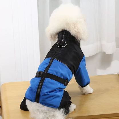 🔥 🐕 Oblečení pro psy z čisté bavlny, teplé a nepromokavé