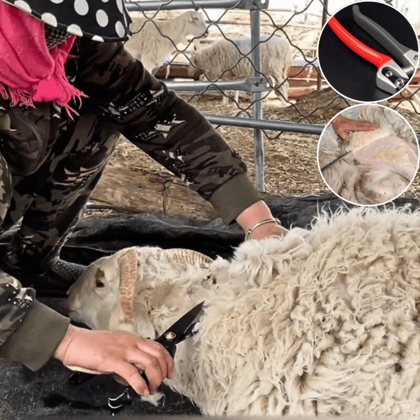 【✨Płatność przy odbiorze】🐏✨✂️ Duże ręczne nożyce sprężynowe do strzyżenia owiec