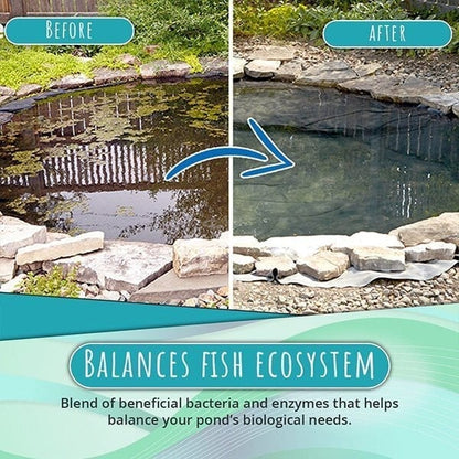 【🔥Kup jeden, a drugi dostaniesz gratis🔥】🌿Nowy środek do usuwania glonów i mchu, usuwa zieloną wodę i glony, można go stosować do czyszczenia akwariów, zbiorników na ryby i basenów