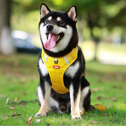 🐶Nowa uprząż dla psa z liną trakcyjną, zapobiega nagłemu bieganiu i ucieczce psa z liny, [5-30 kg]🐶 Nadaje się dla małych i średnich psów
