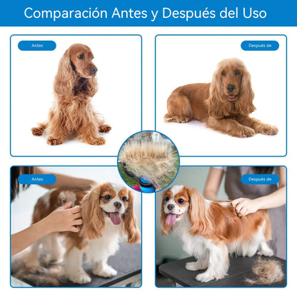 【Compra 1 y lleva 1 + 50% off】🐾 Herramienta profesional para eliminar el pelo muerto de perros y gatos: suave, eficaz y un hogar libre de pelo ✨💖