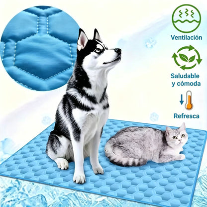 🧊🐶 【50*70cm】Alfombrilla refrescante para perros y gatos: ¡Mantén a tu querida mascota fresca este verano! 🐱✨