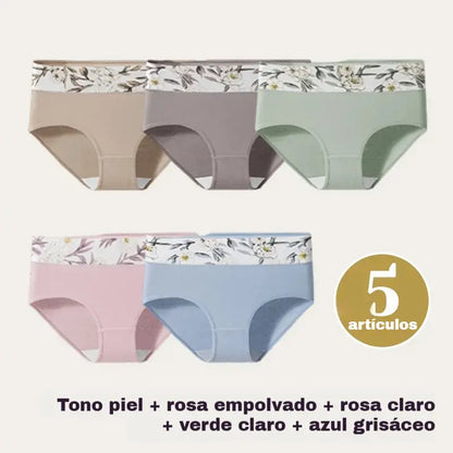 🩲【Conjunto de 5 piezas】Braguitas de encaje de talle alto, antibacterianas y protectoras ✅️Pago contra entrega