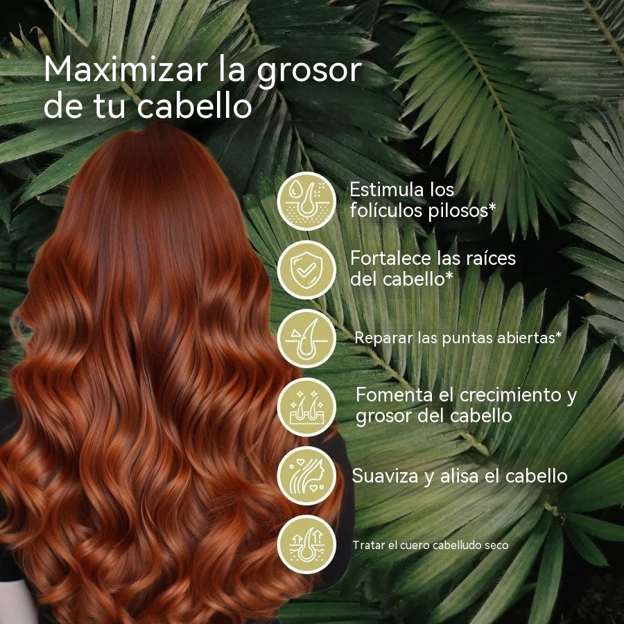 【50% de descuento, compra 1 y llévate 2 gratis】Aceite esencial de primera calidad para el cabello