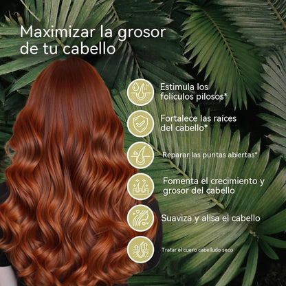 【50% de descuento, compra 1 y llévate 2 gratis】Aceite esencial de primera calidad para el cabello