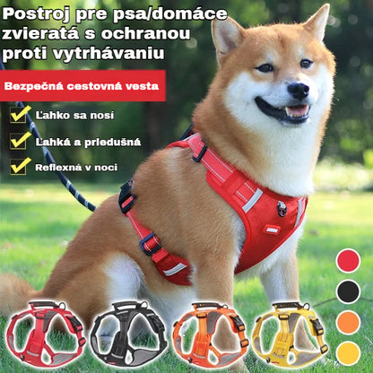 🐶【5–30 kg】Postroj pre psov, proti ťahaniu, pre domáce zvieratá. ✅Platba pri doručení