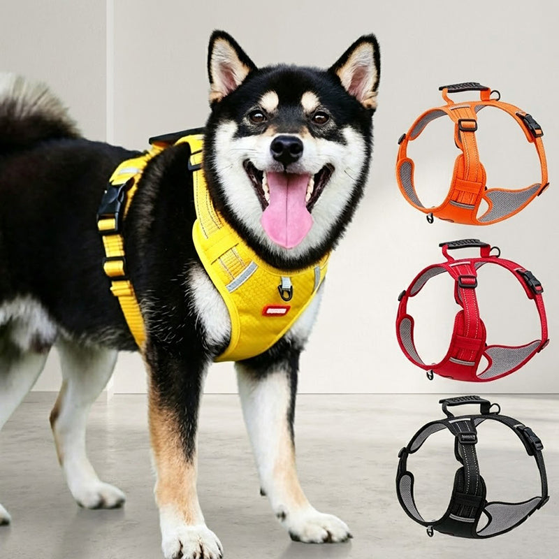 🐶 【5–30 kg】Szelka przeciw ciągnięciu – 🎁 Idealny prezent dla każdego miłośnika psów