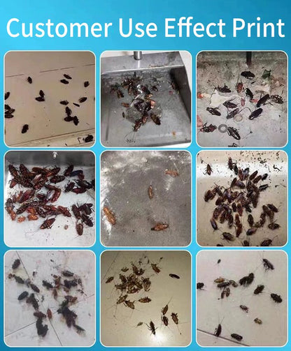 🦟【10 pudełek】Silna żelowa łatka do zabijania karaluchów