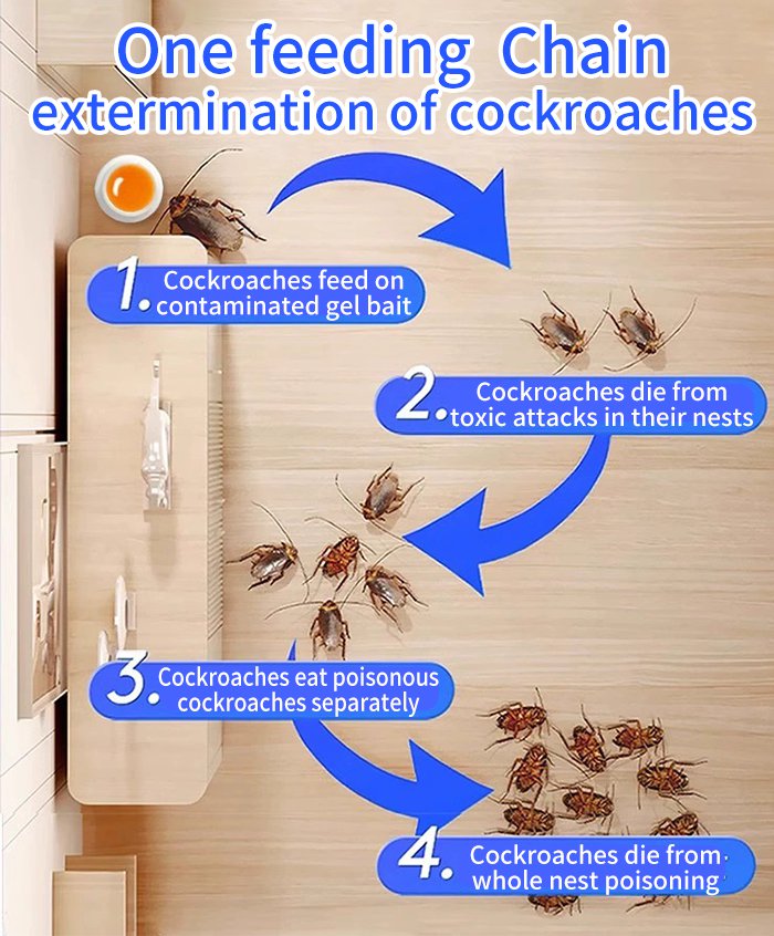 🦟【10 pudełek】Silna żelowa łatka do zabijania karaluchów