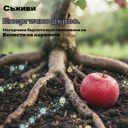 🍂【Горещи продажби】🍂✨Микробните почистващи препарати са подходящи за овощни градини.Повишаване на устойчивостта на растенията