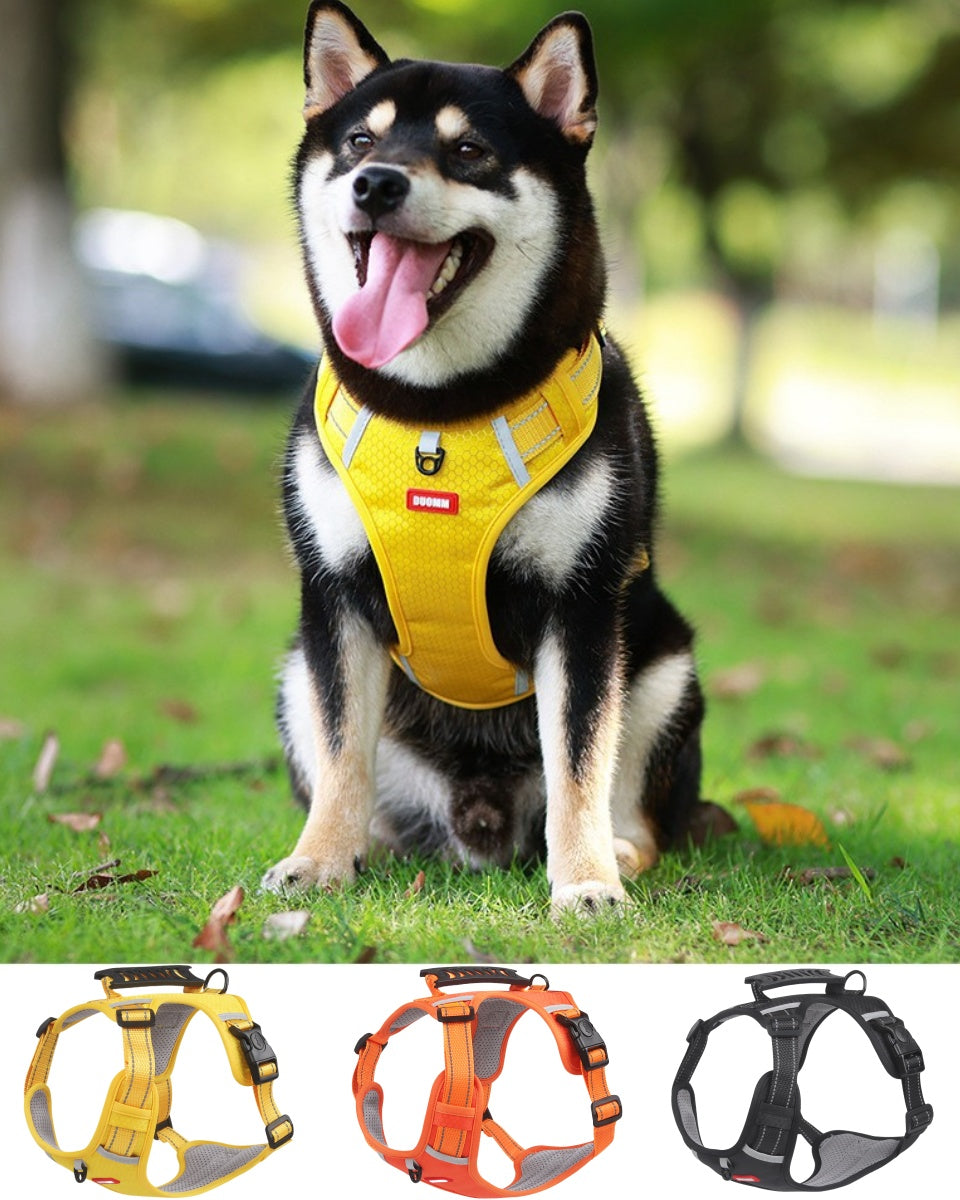 🐶💛 [5-30 kg] Nowe szelki dla psa ze smyczą💛 Wygodna przyczepność, mocna i bezpieczna, zapobiega nagłej ucieczce psa i uwolnieniu się ze smyczy🐶 Odpowiednie dla małych i średnich psów