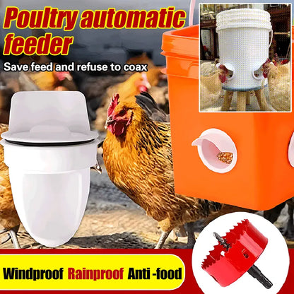 🐔🌟【Abridor de agujeros + 5 comederos】 Comedero automático para pollos, patos y gansos